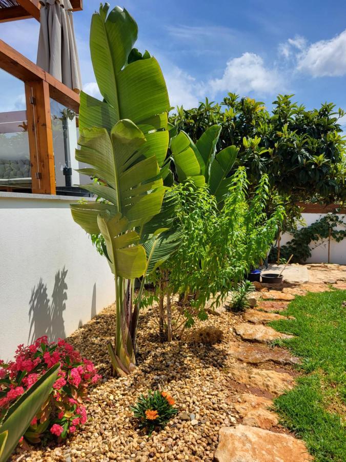 Casa Monte Salema Vila do Bispo Buitenkant foto